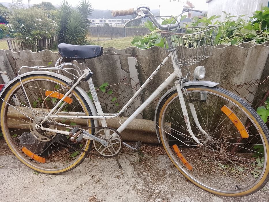 Bicicleta pasteleira kit incluído