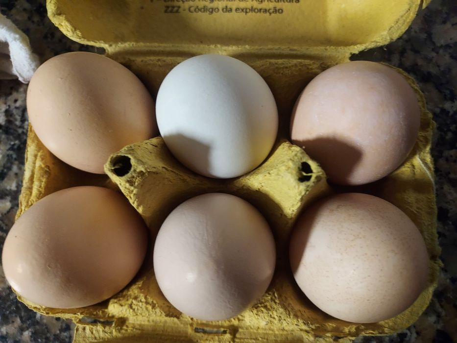 Ovos caseiros a 3 euros a dúzia