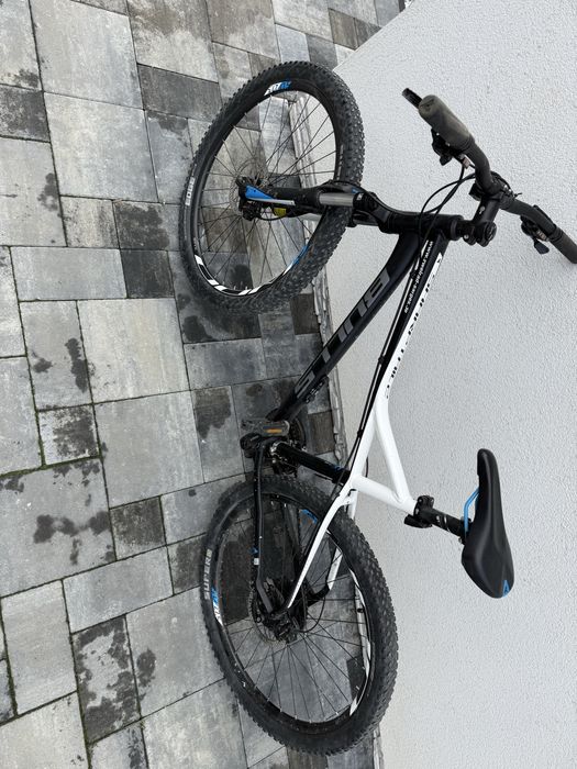 Rower BULLS ………………