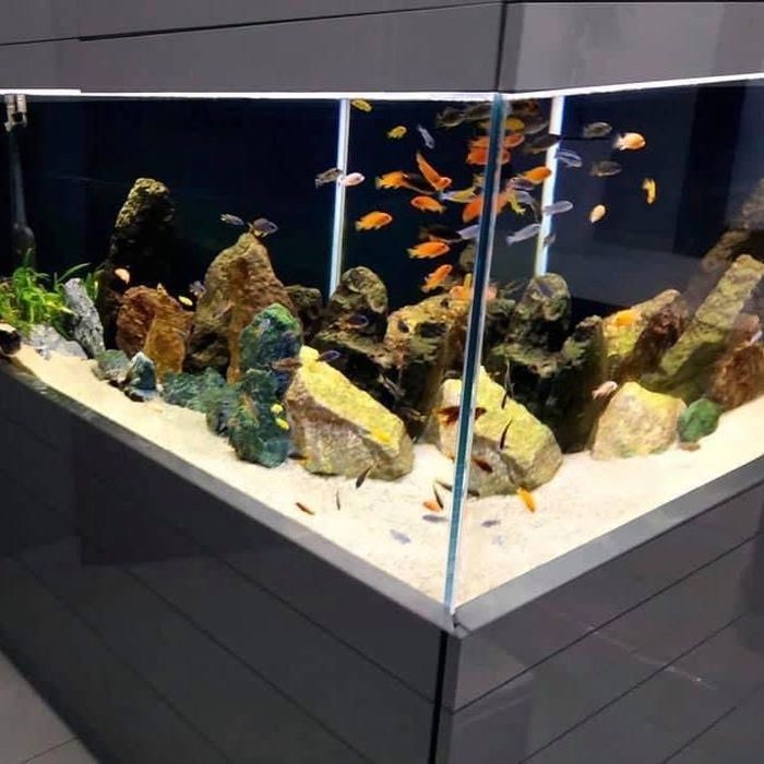 Serwis Akwarystyczny- zakładamy, czyscimy Akwaria