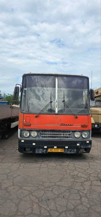 Автобус IKARUS 256