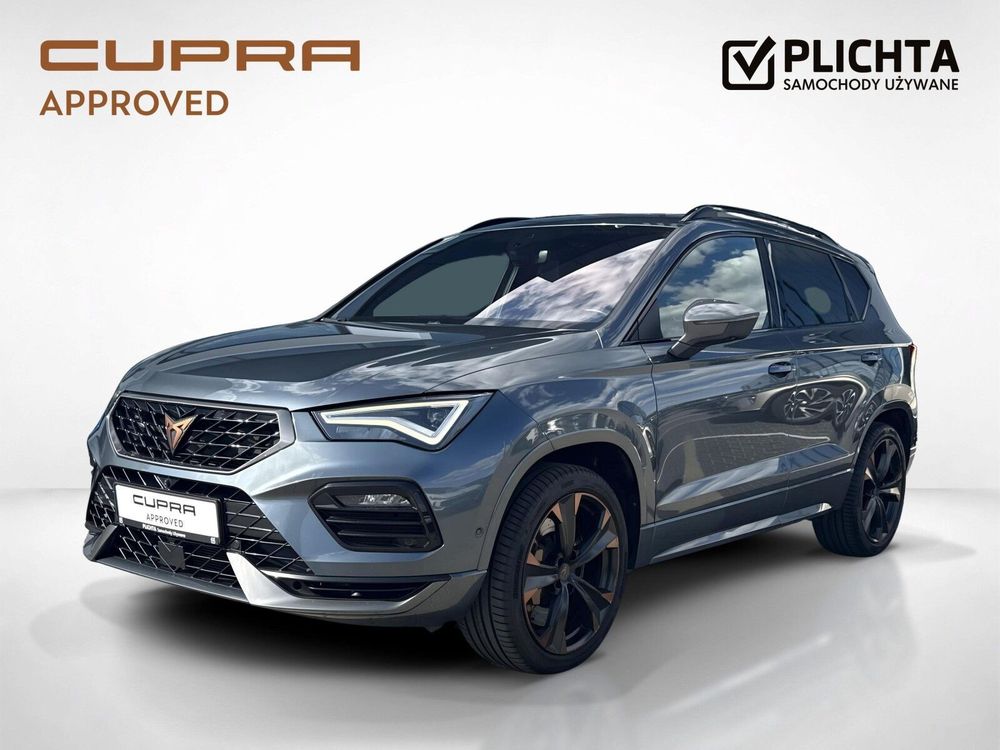 alt