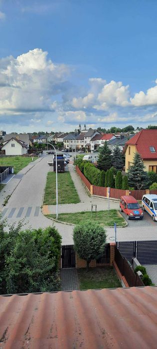 Kawalerka dostępna od 1 czerwca