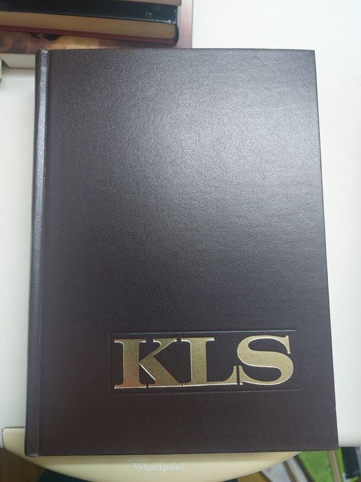 Dicionários Koogan Larousse