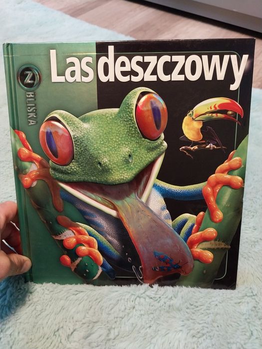 Książka Las deszczowy z bliska