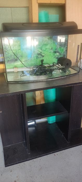 Akwarium kompletny zestaw wraz z meblem i akcesoriami