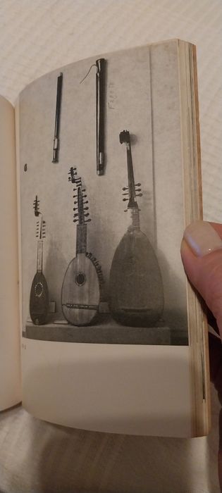 As Vozes da Orquestra,  da autoria de Carlos Edgard, é um livro educat