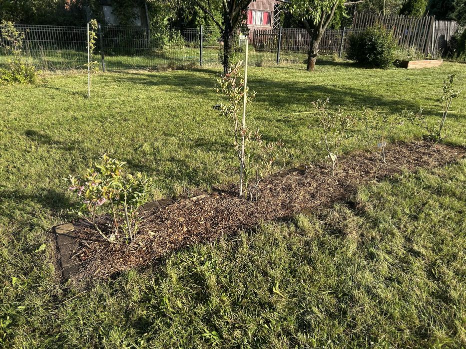 Dzialka ROD Osiedle Niewiadów