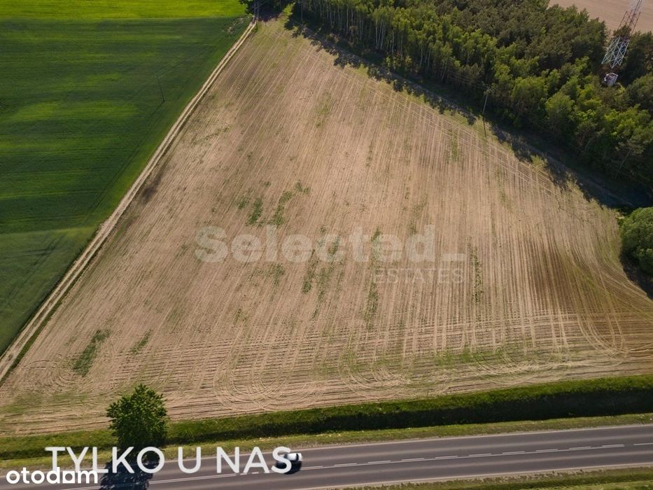 Zdjęcie 7