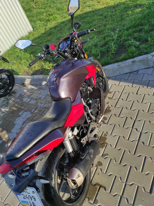 Продам Geon Pantera