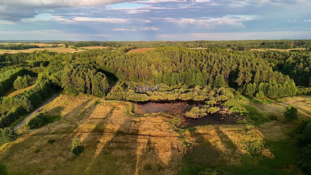 Rzepowo, działka rolna 3,15ha, woj. zachodniopomorskie