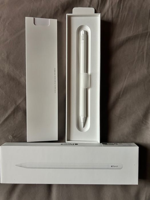 Rysik Apple Pencil USB-C