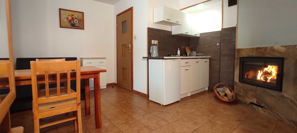 Domki Nad Tanwią, całoroczne z kominkami w sosnowym lesie na Roztoczu.