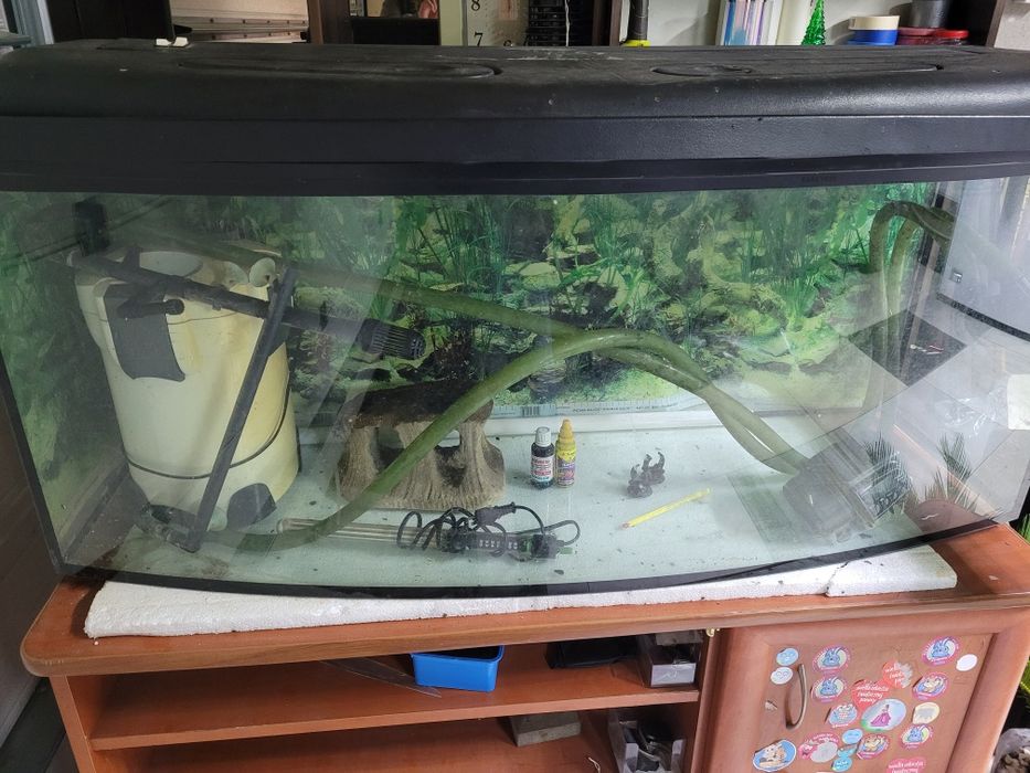 Akwarium Panoramiczne250 litrow