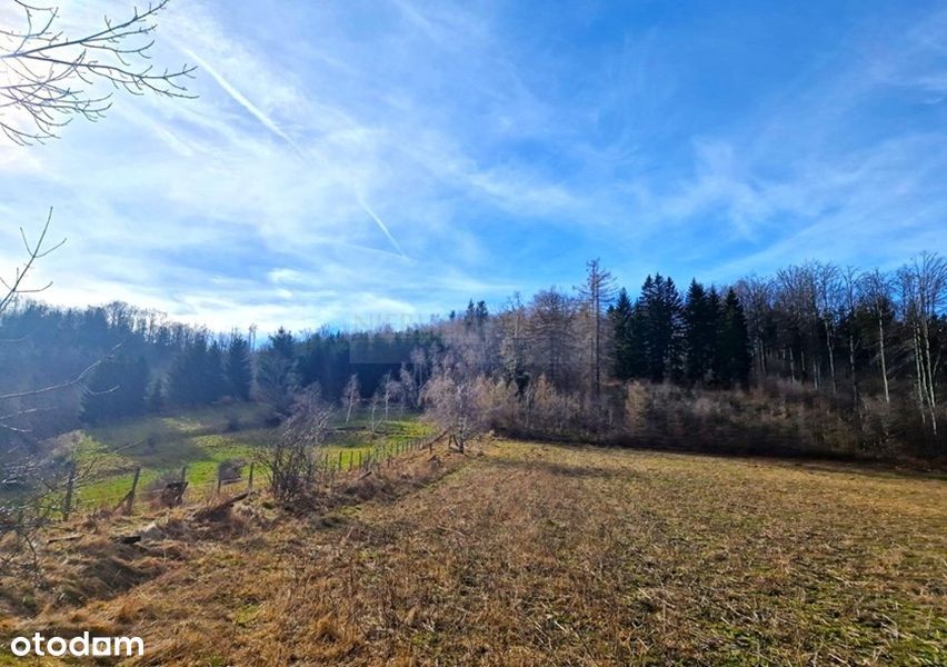 Duża działka inwestycyjno-budowlana/Góry Sowie!