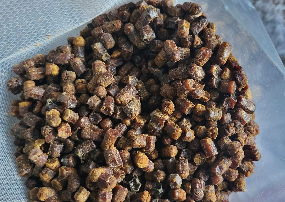 Pierzga Pszczela 100 gram