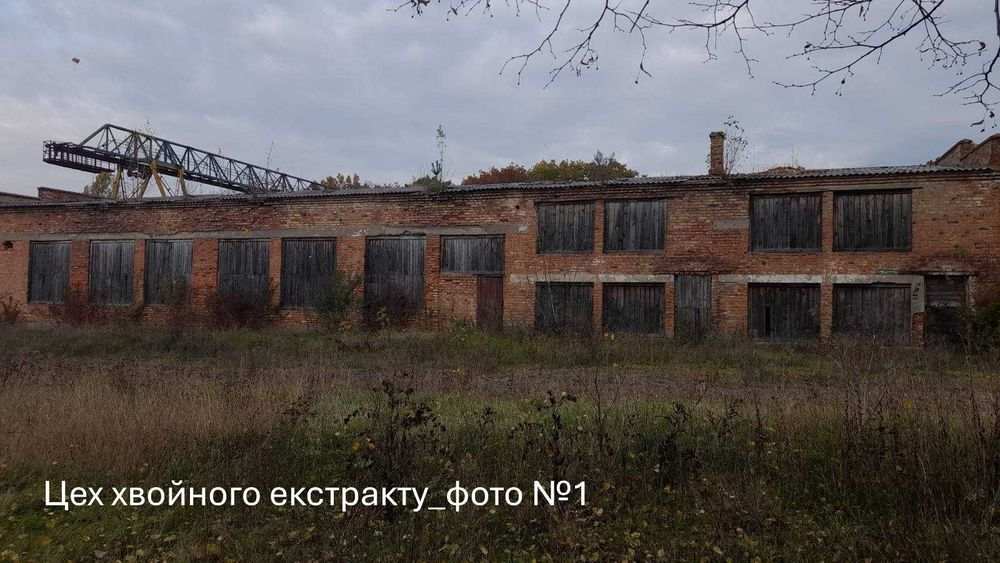 Цех стружки та цех хвойного екстракту площею 1289 кв.м, Волинська обл.,