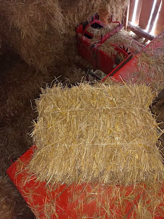 Słoma do sprzedania