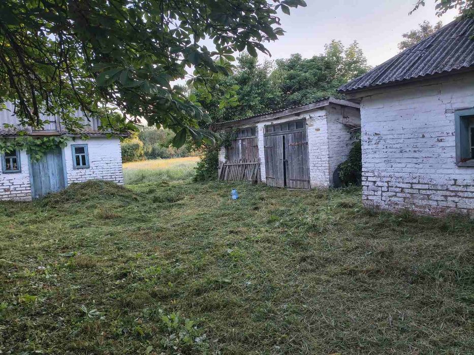 Будинок  в с.Сухорабівка, Полтавського району, Полтавської області - View 4