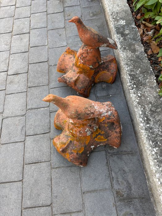 Pombos de cumeira telha