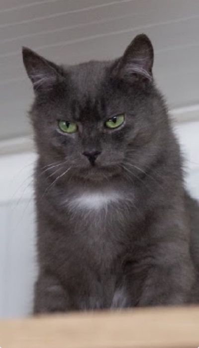 Персей шукає свій Олімп!