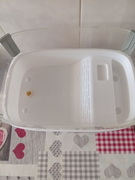 Tartarugueira em bom estado