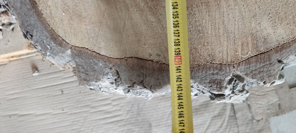 Слеб, срезиз ореха большой