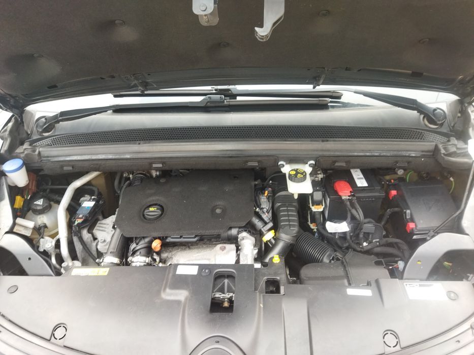 Citroen C-4 Spacetourer  2019 р. 1.5 Diesel Avtomat AISIN