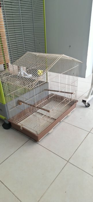 Lote Gaiolas criação- desistência