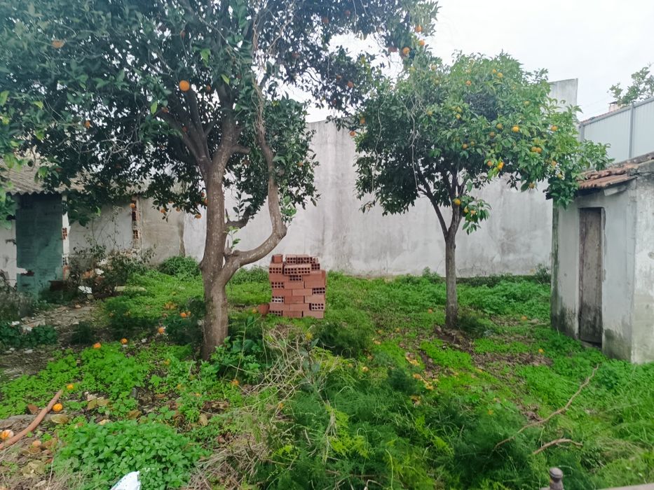 2 casas para reconstruir, com logradouro