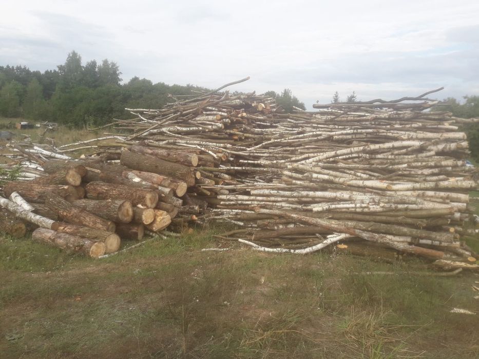 Drewno opałowe z transportem