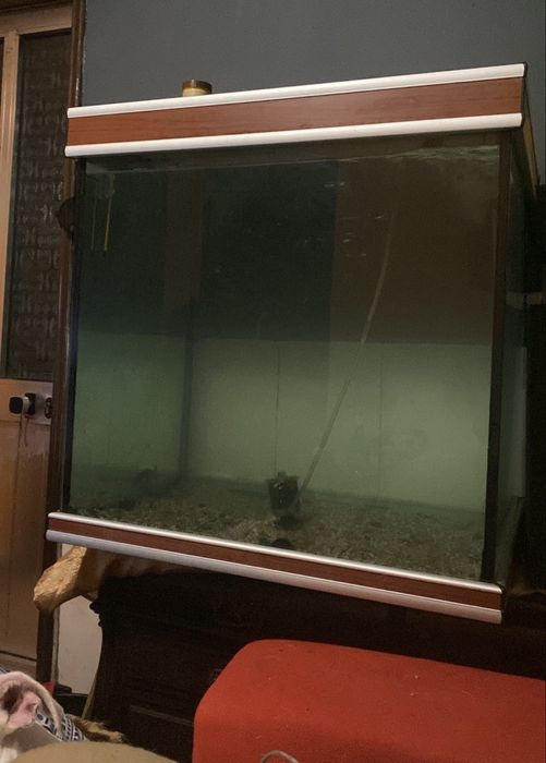 Aquario/terrario 250 litros