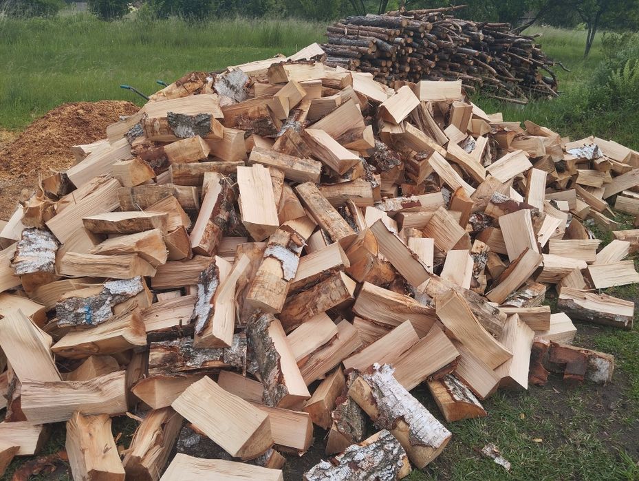 Drewno kominkowe brzoza