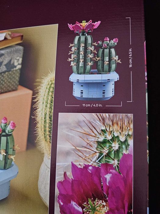 LEGO Botanicals Cactus em Flor - 11509 | Idades 9+ | 482 Peças