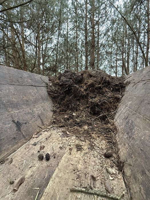 Продам грунт для лохини
