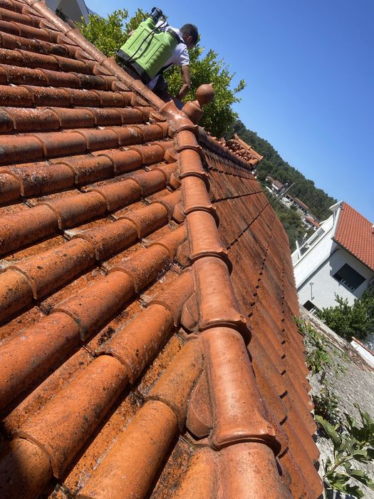 Pintara e lavagem de telhado