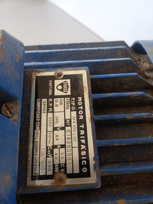 Motore trifasico EFACEC