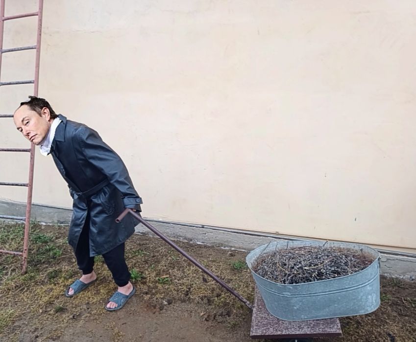 Садова тачка. Візок