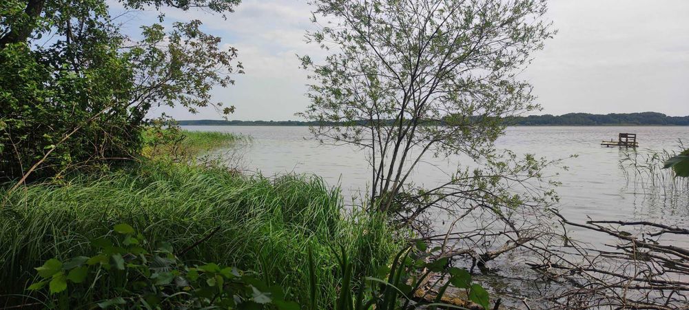 działka Jęczydół z linią brzegową jeziora Miedwie pow. 0.9720 ha - Widok 5
