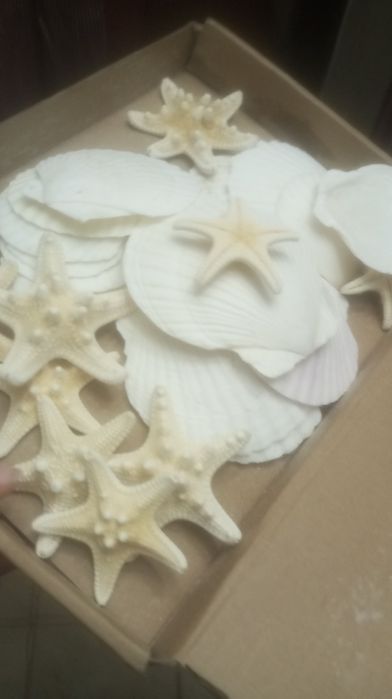 Estrelas e conchas artesanais
