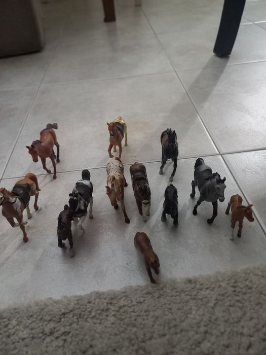 Cavalos com e sem sela