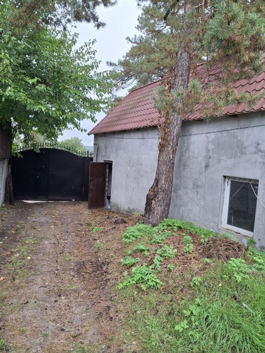 Великий будинок біля Києва — с. Горенка