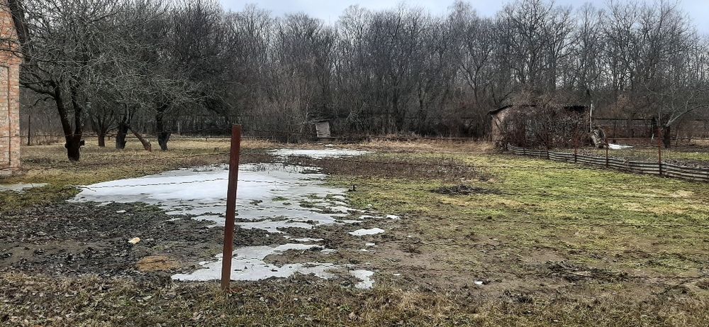 Дача в кооперативі Лісне