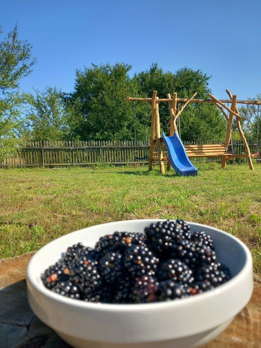 Dom na końcu wsi. Wieczór panieński, praca zdalna, balia, sauna
