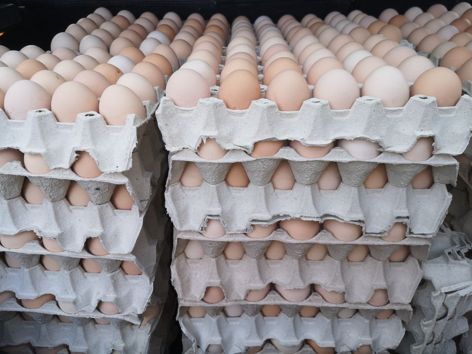 Jajka Wiejskie hurt detal