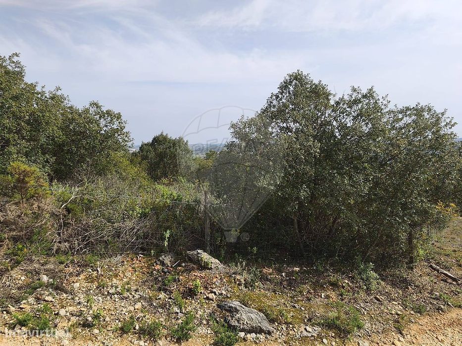 Terreno  para venda