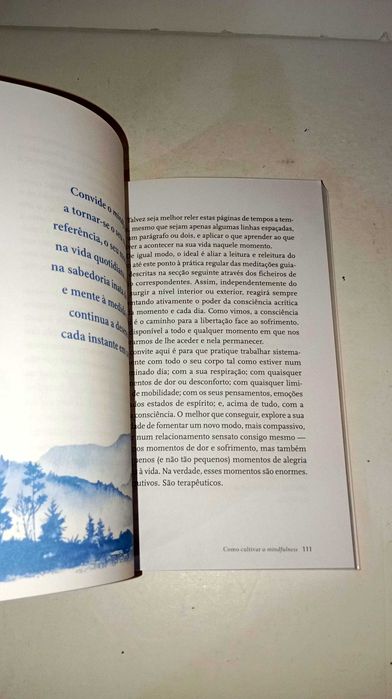 Mindfulness para o Alívio da Dor