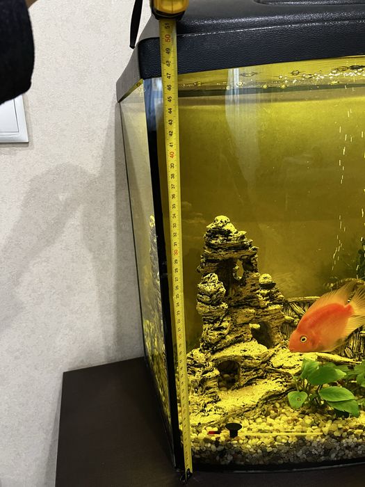 Акваріум 120л.  Рибки