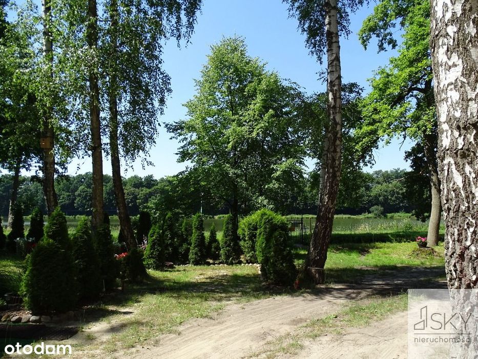 Całoroczny domek nad stawami | Wilczyn Leśny