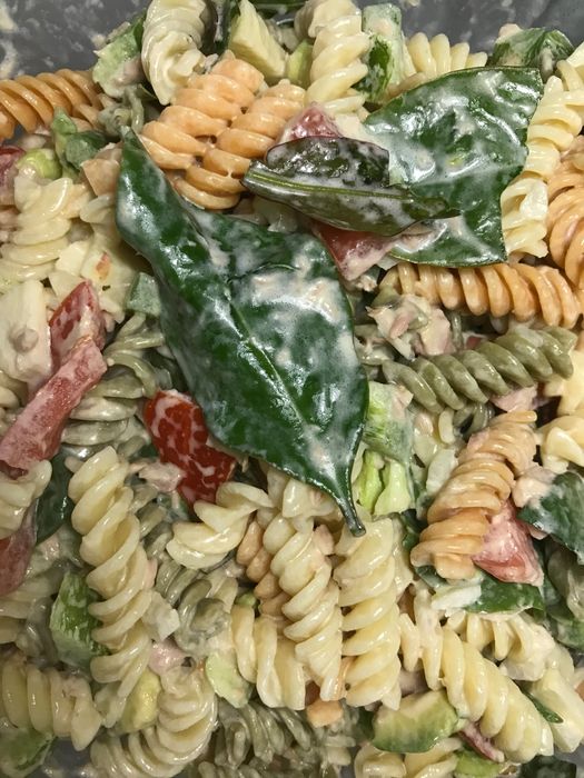 Planta Ora-pro-nóbis (Pereskia aculeata)